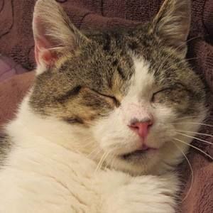 Meet your Posher, Debra